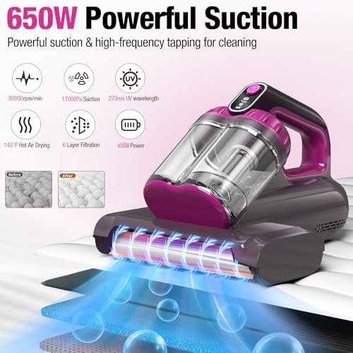 Best HEPA Vacuum For Bed Bugs